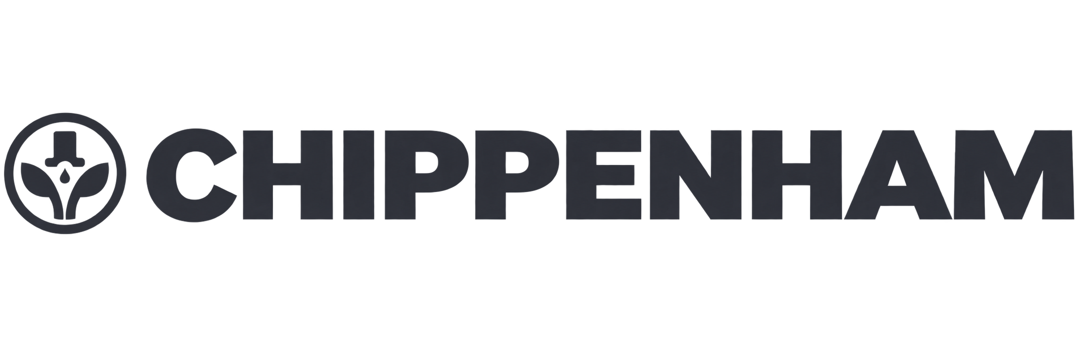 website logo